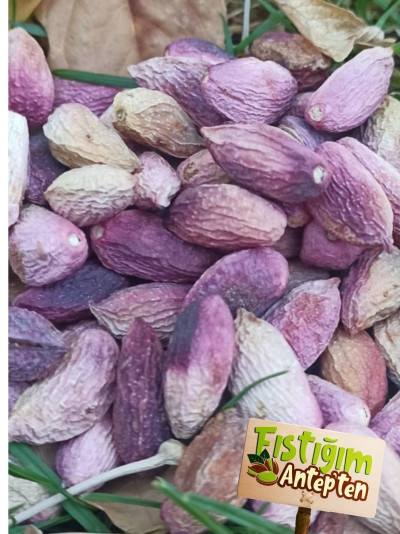 Ağaç Altı Kuru Antep Fıstığı