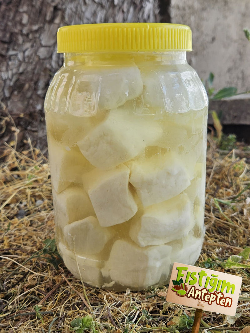 Antep Peyniri