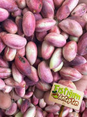 Yaş (Taze) Antep Fıstığı 3Kg