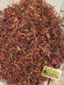 Haspir (Aspir) Yerli Safran 50gr